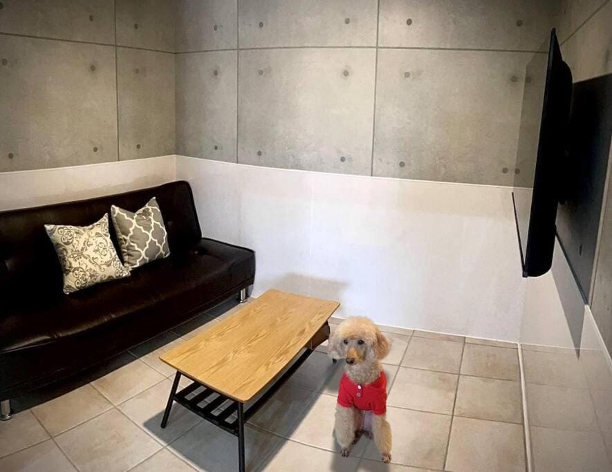 Communal lounge/ TV room, TV and multimedia, Living room, Pets