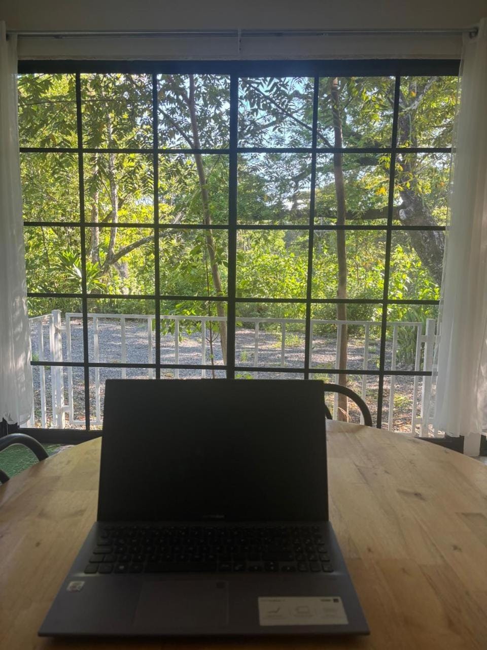 Garden view