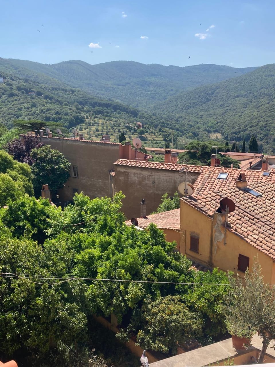 View (from property/room)