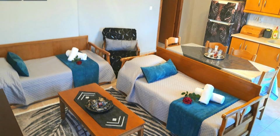 BAKIRAS HOUSE Apartment in Halkidiki