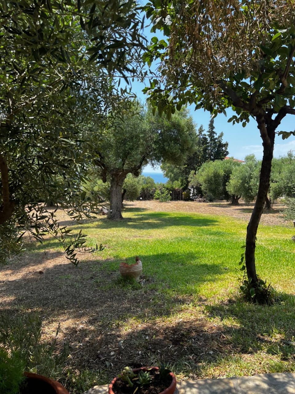 Day, Garden