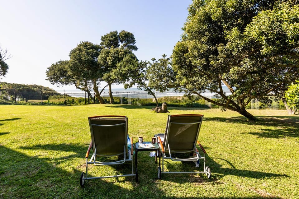 Garden, Garden view, sunbed
