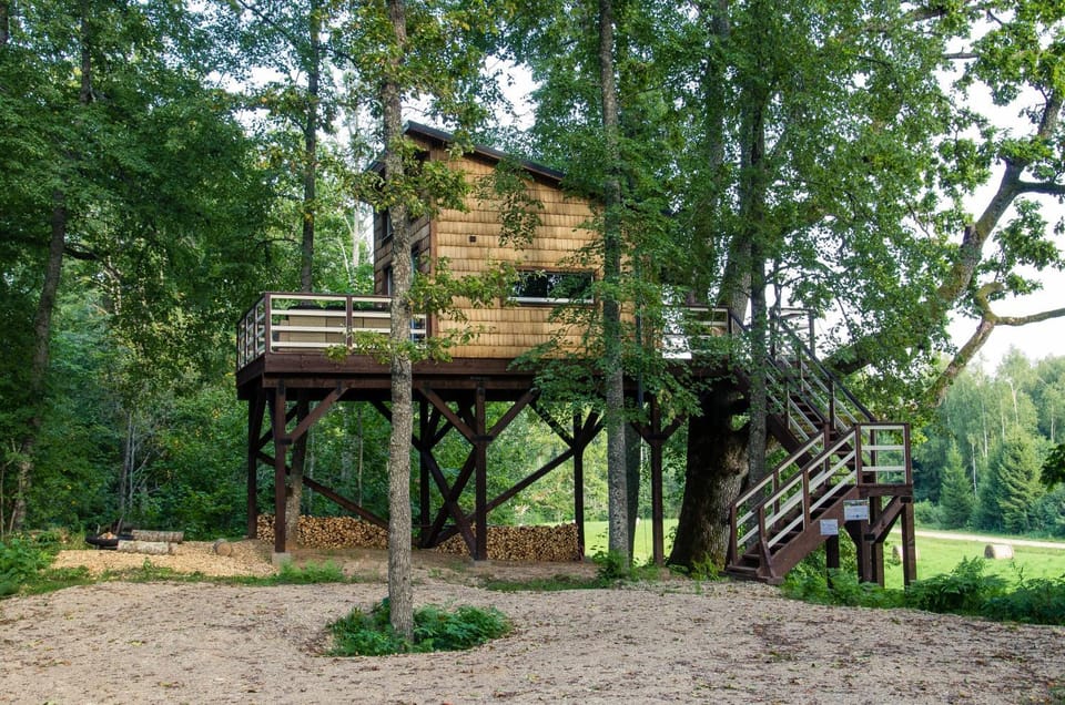 Strazdu Ligzda Off grid treehouse House in Latvia