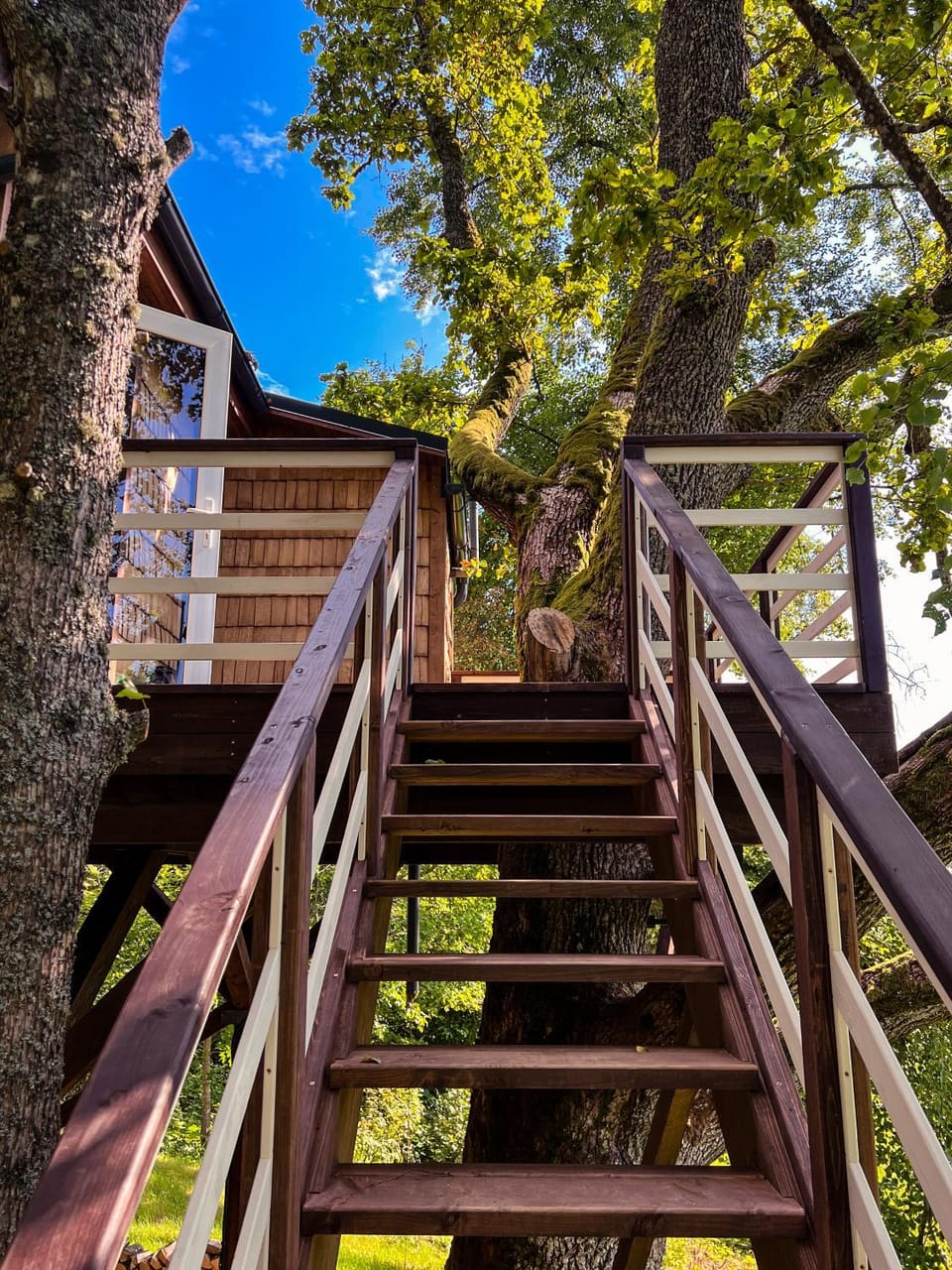 Strazdu Ligzda Off grid treehouse House in Latvia
