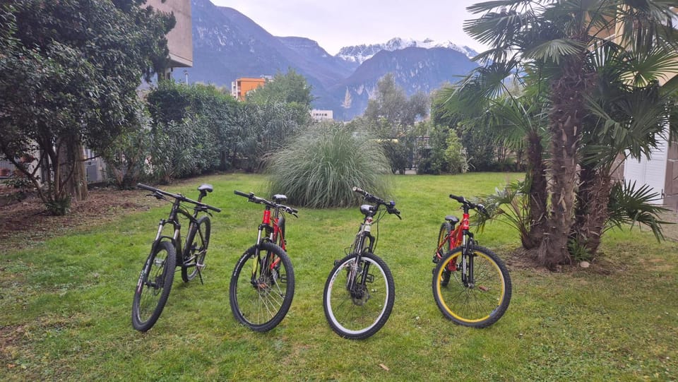 Garden, Cycling, Cycling, Inner courtyard view