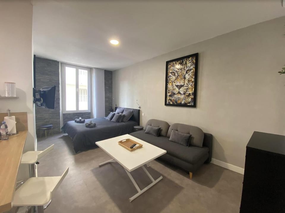 PACA Properties 41H2 - Studio cosy Apartment in Cannes