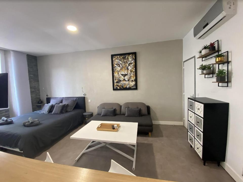 PACA Properties 41H2 - Studio cosy Apartment in Cannes