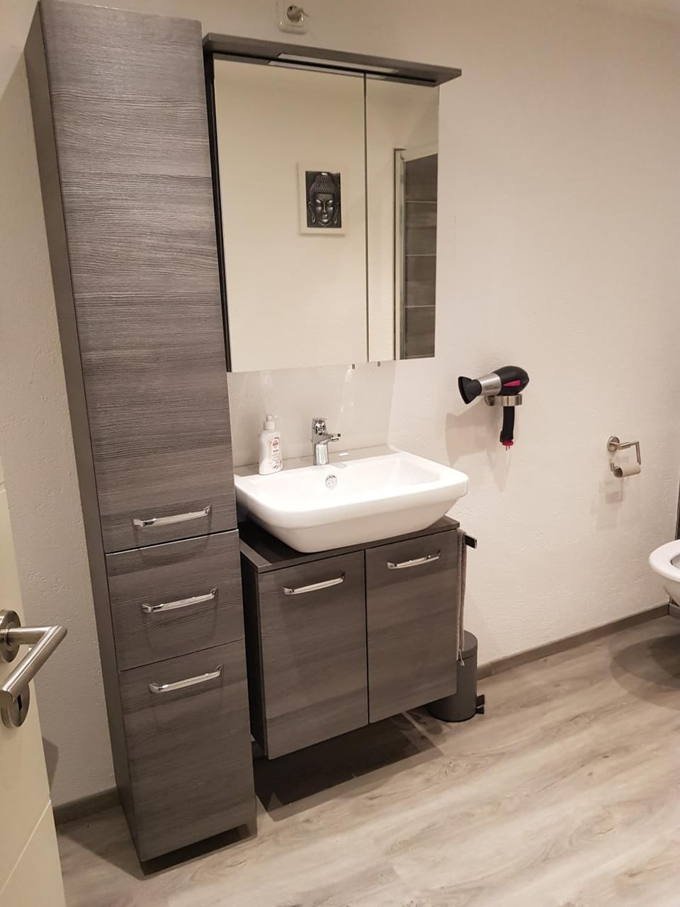 Bathroom, Living room