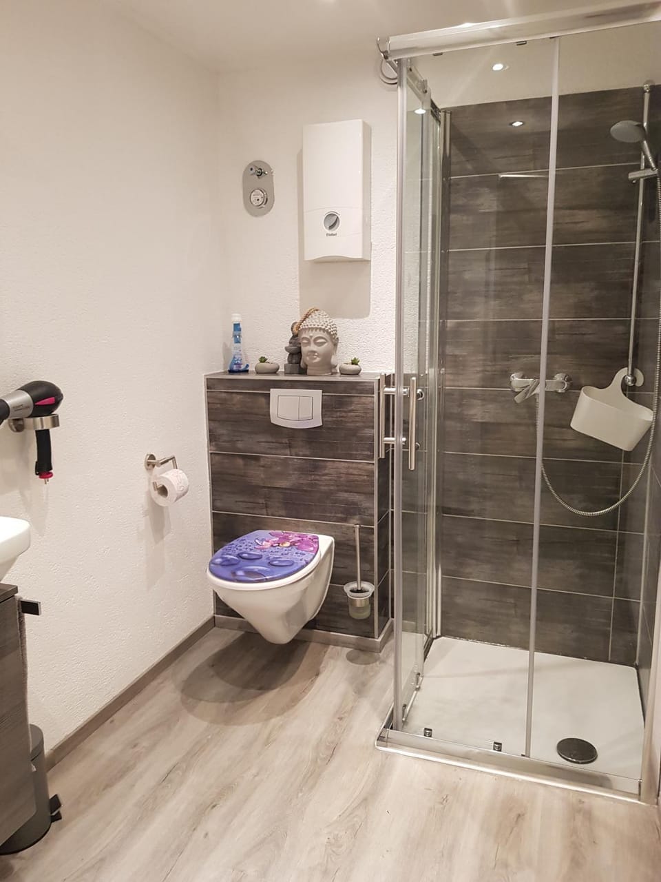 Bathroom, Living room