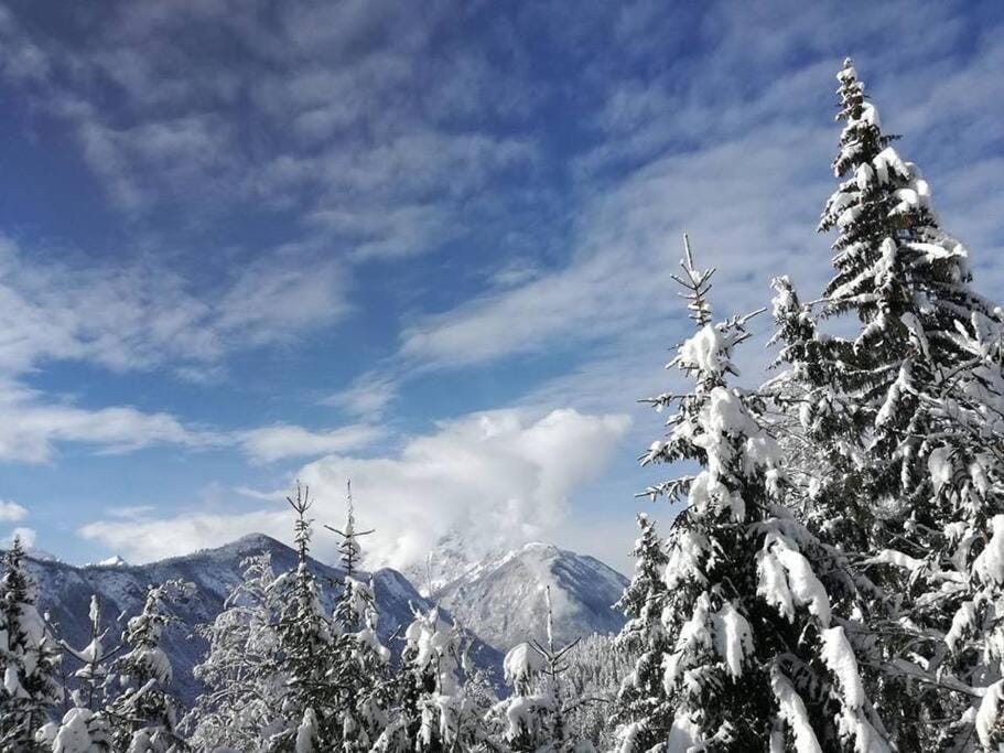 A Cottage in the Alps for hiking, cycling, skiing House in Carinthia, Austria
