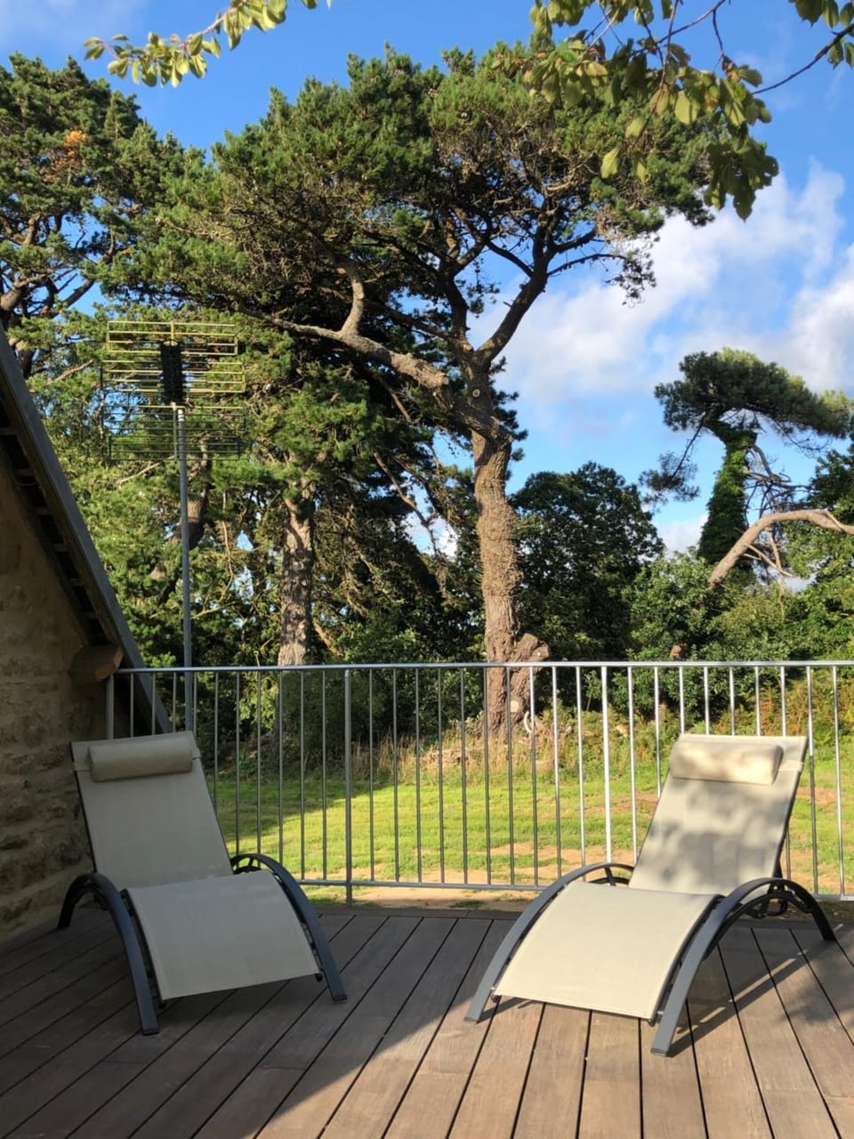 Patio, Garden, Garden view, sunbed