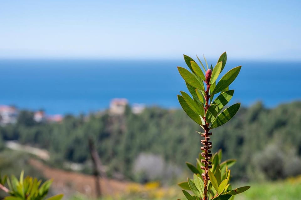Natural landscape, Sea view, Location