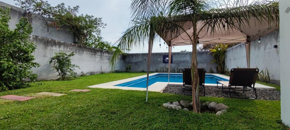 Patio, Day, Garden, Garden view, Pool view, Swimming pool, sunbed