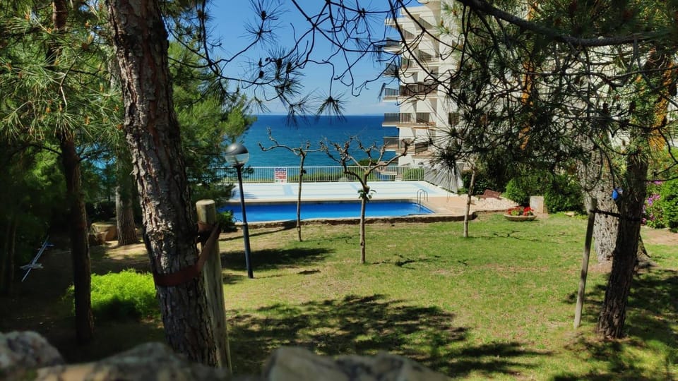 Garden, Swimming pool