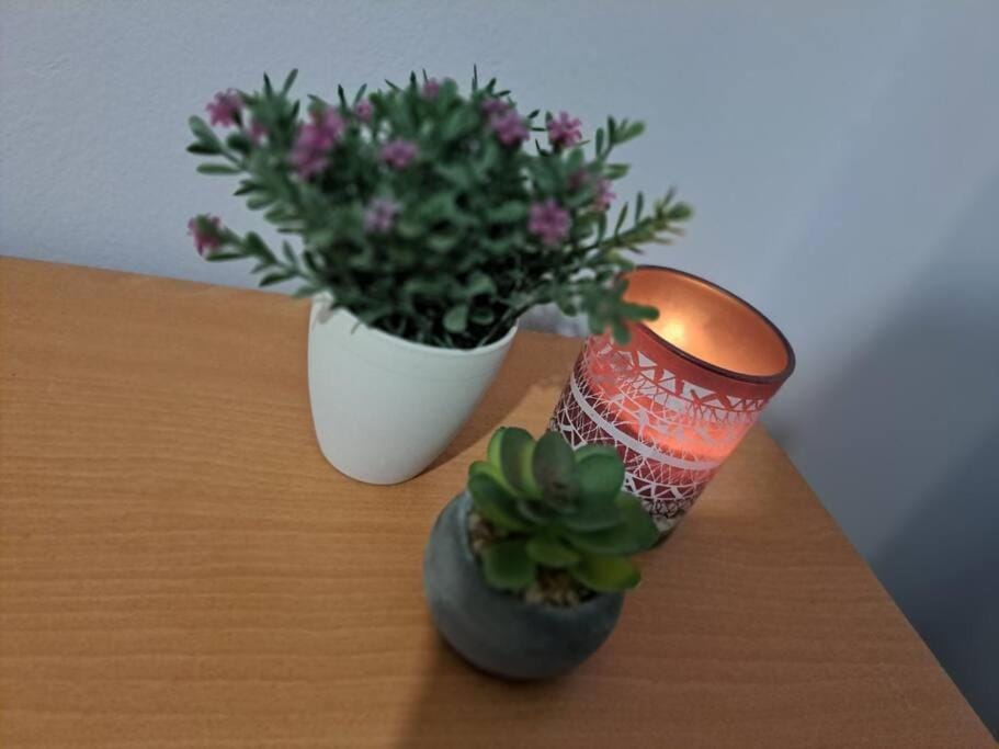 Lydia's cozy house Apartment in Rhodes, Greece