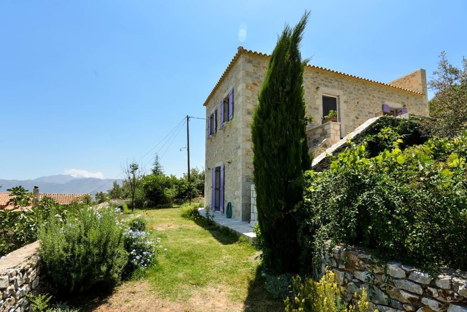 Natural landscape, Garden