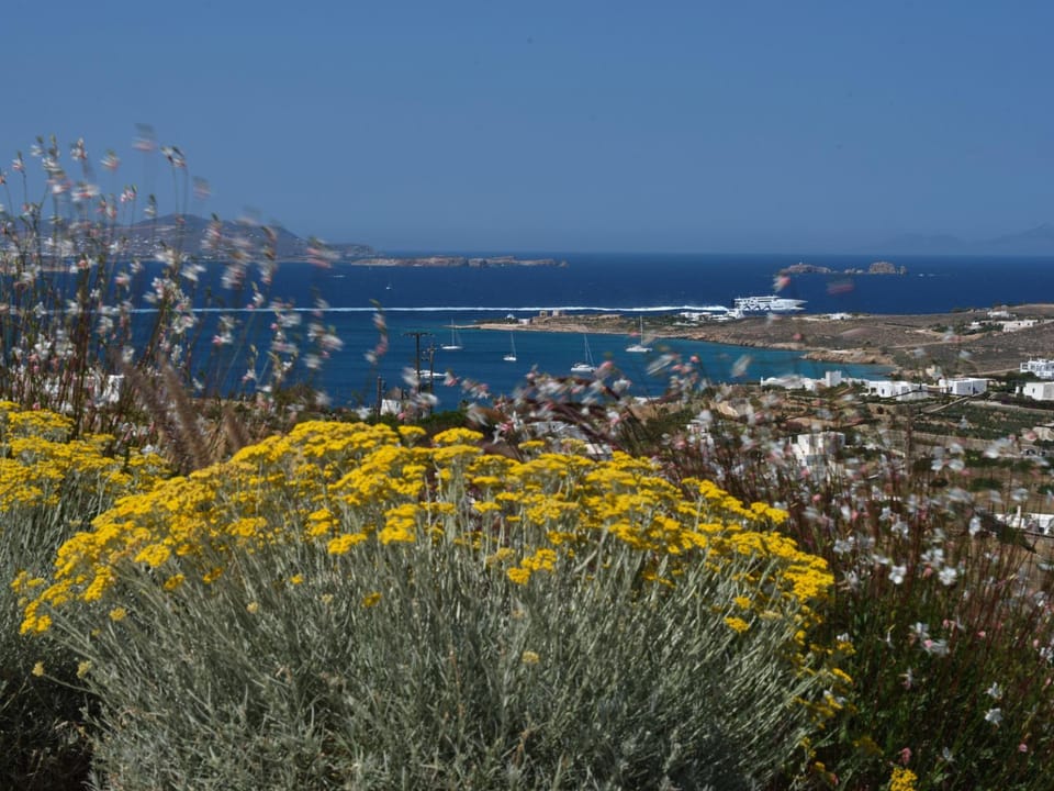 Spring, Day, Natural landscape, Garden view, Sea view