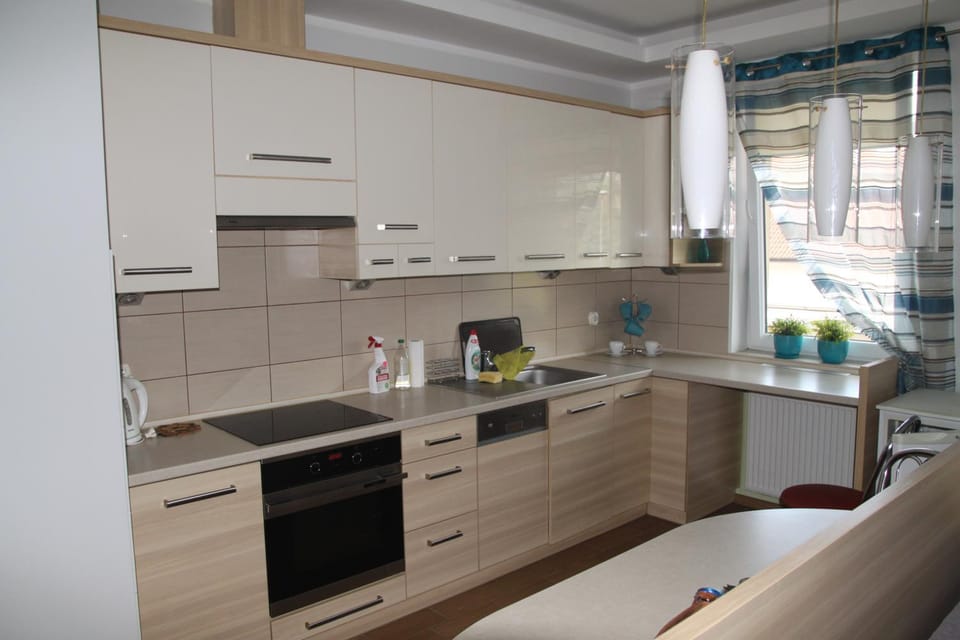 Kitchen or kitchenette, dishwasher, pet friendly, stove
