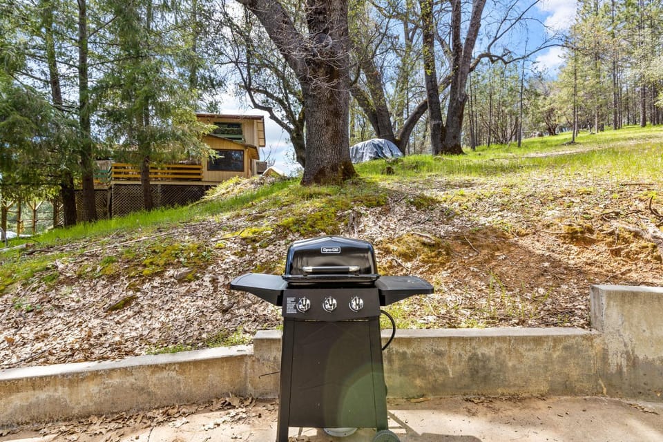 Big Creek Hideaway House in Groveland