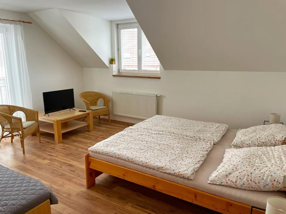 Bed, TV and multimedia, Seating area, Bedroom