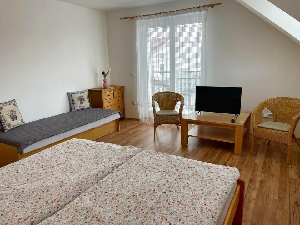 Bed, TV and multimedia, Balcony/Terrace, Seating area