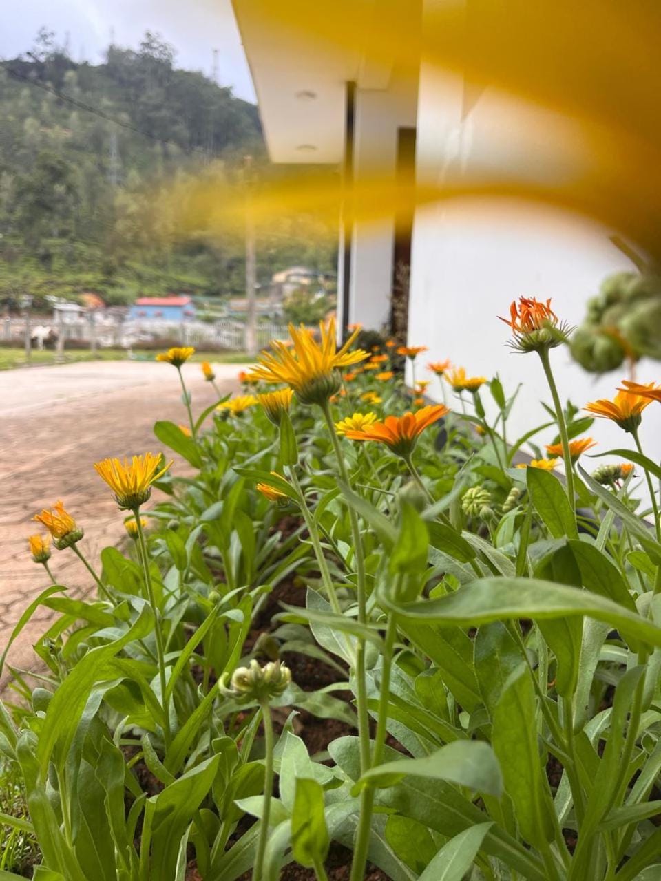 Queensland Hotel Hotel in Nuwara Eliya