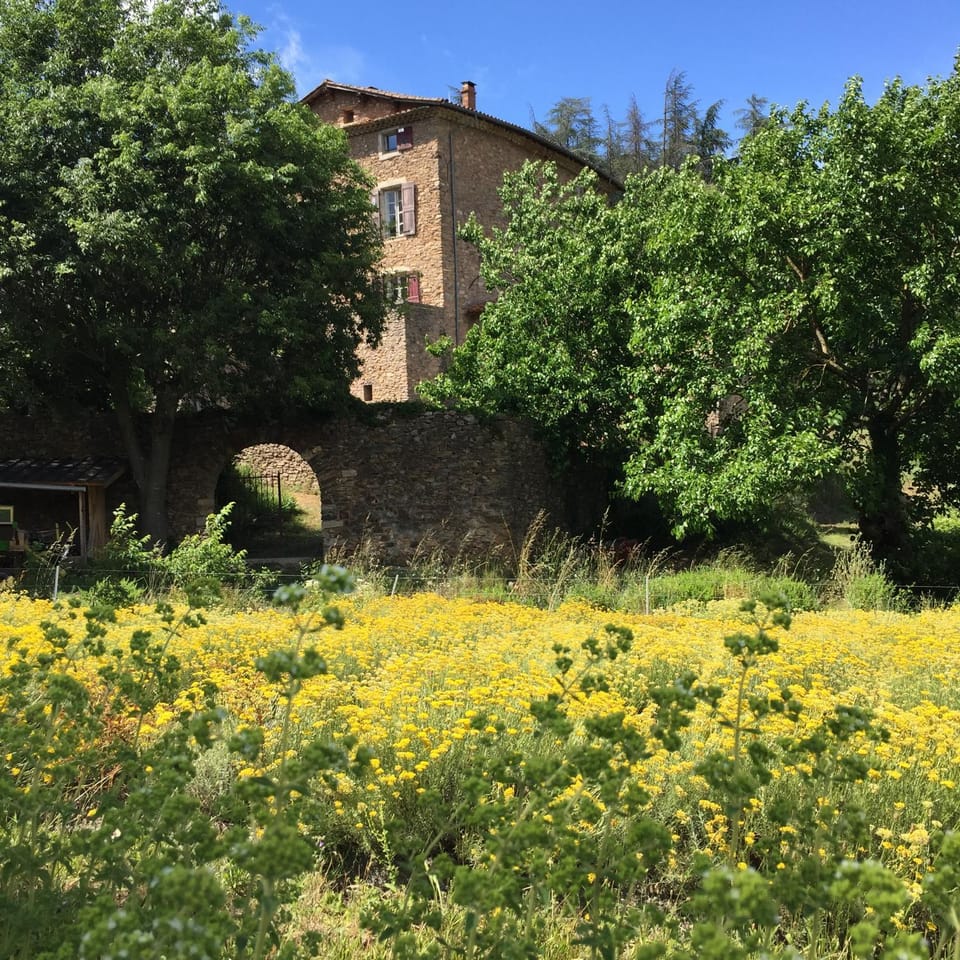Natural landscape, Summer, Hiking, On site