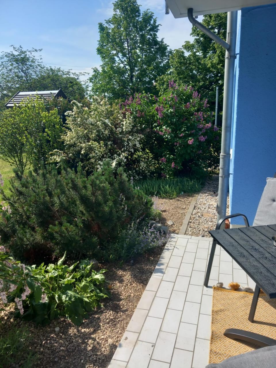 Property building, Patio, Garden, Garden, Garden view