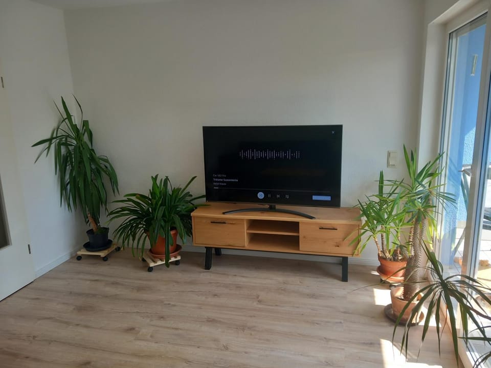 Communal lounge/ TV room, TV and multimedia, Evening entertainment