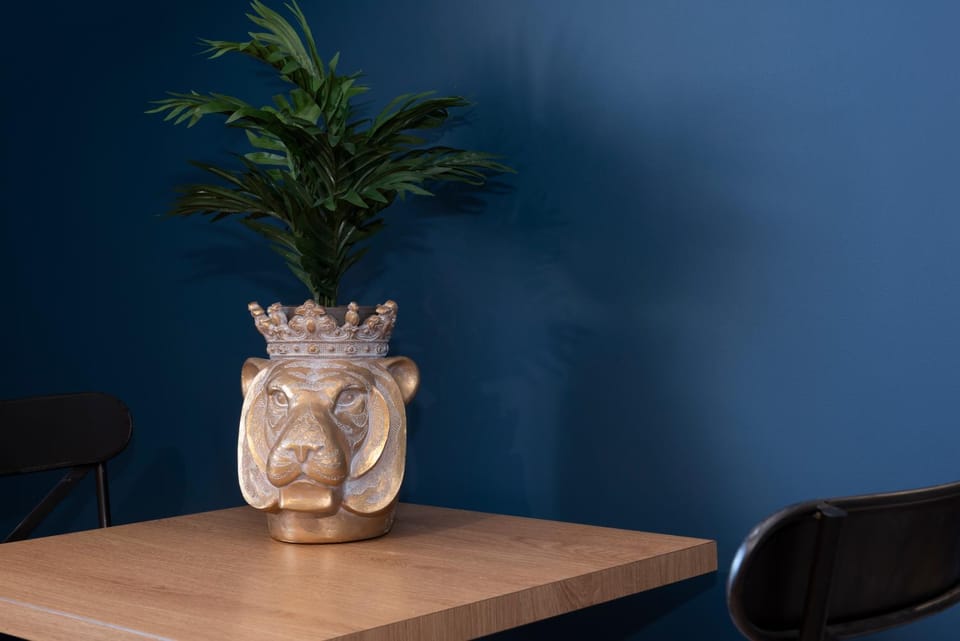 ECRIN romantique,7studios,3km du zoo! Apartment in Centre-Val de Loire