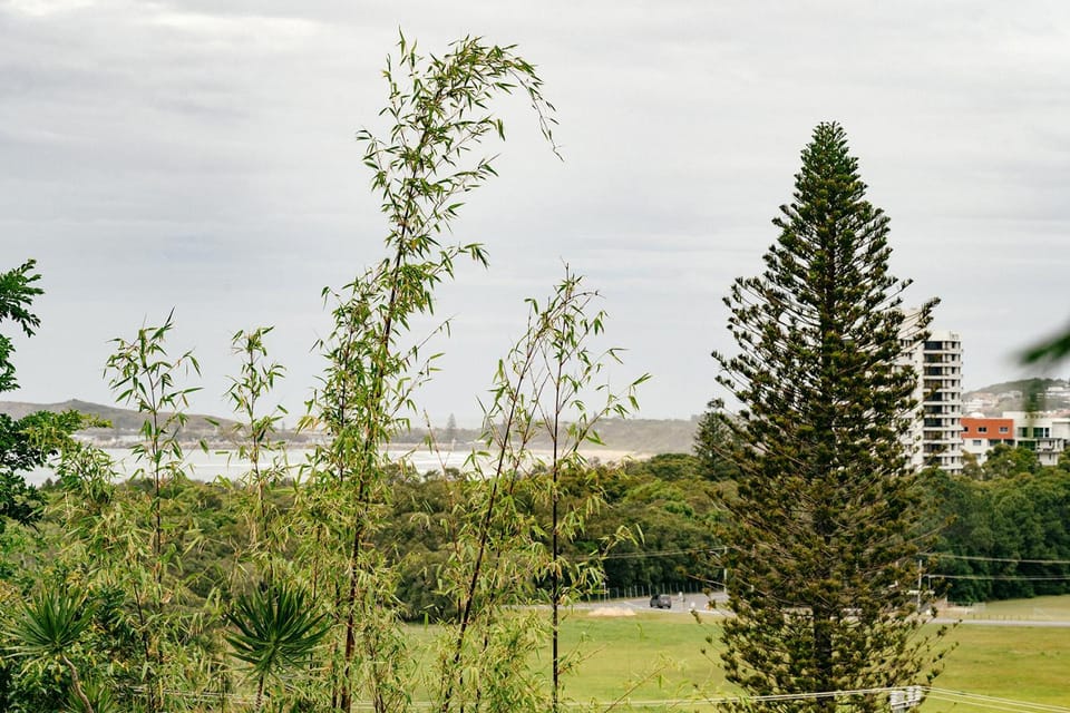 Garden view