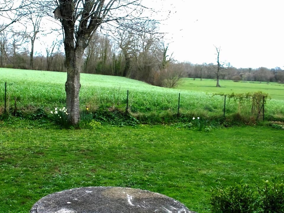 Garden, Other