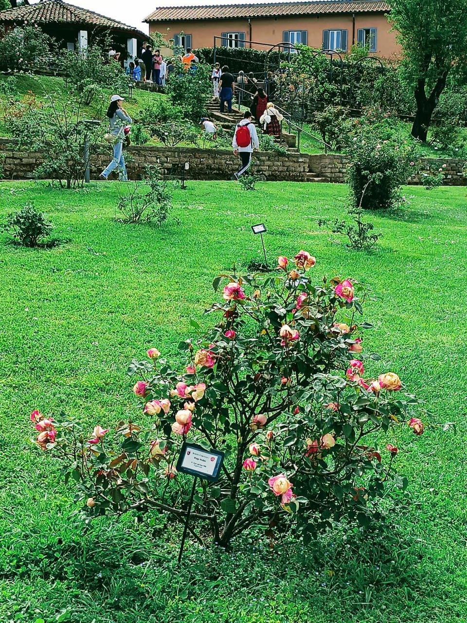Nearby landmark, Spring, Day, Natural landscape, Garden, Location
