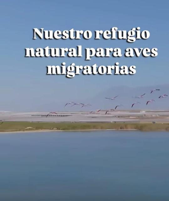 Natural landscape