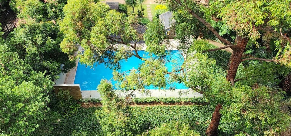 Garden, Pool view, Swimming pool