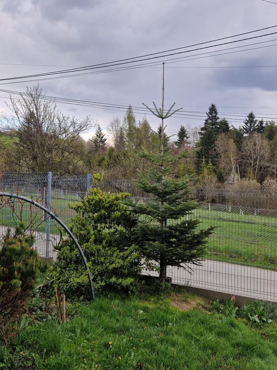 Spring, Day, Natural landscape, Garden, Garden view