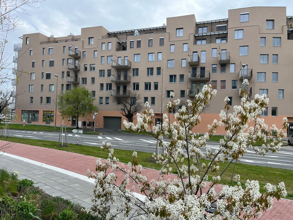 Ubytování Šantovka Apartment in South Moravian Region