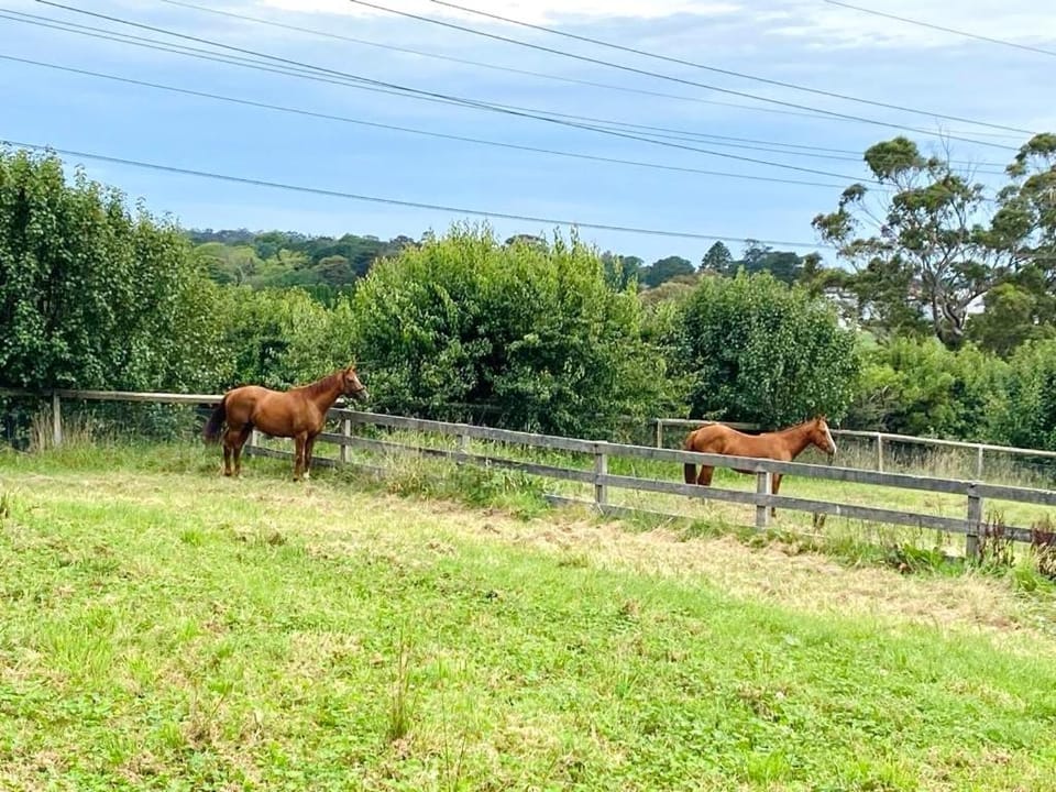 Entire Bowral Acreage House in Bowral