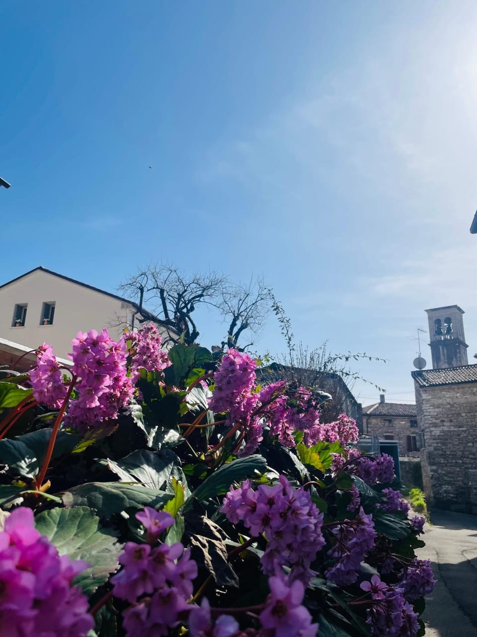 Borgo Cortivi b&b Bed and Breakfast in Valdobbiadene