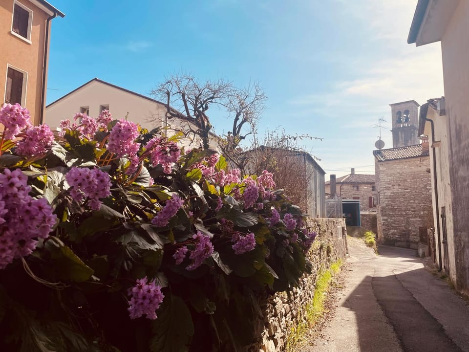 Borgo Cortivi b&b Bed and Breakfast in Valdobbiadene