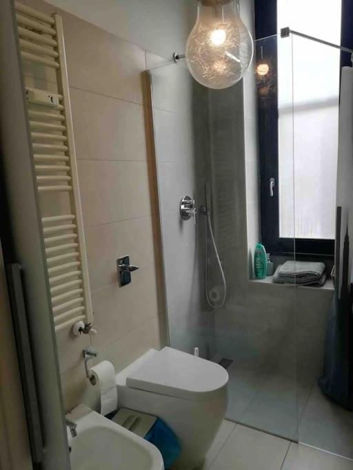 Shower, Toilet, Bathroom, bidet