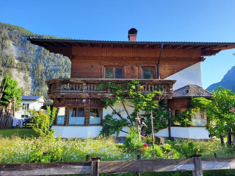 Natural landscape, Garden