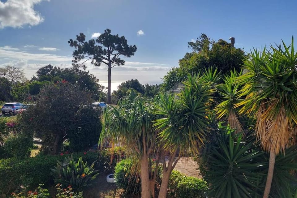 Natural landscape, Garden, Garden view