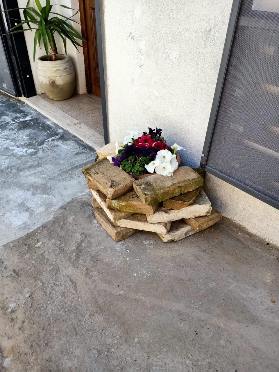 La casina di Alicia Apartment in Molise, Italy