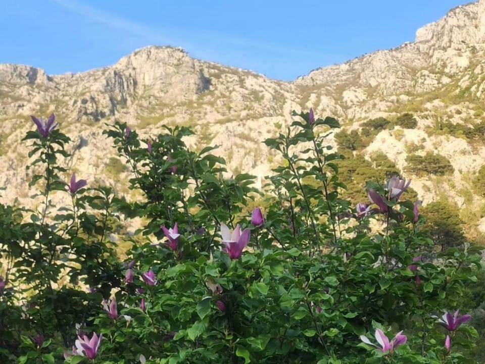 Natural landscape, Mountain view