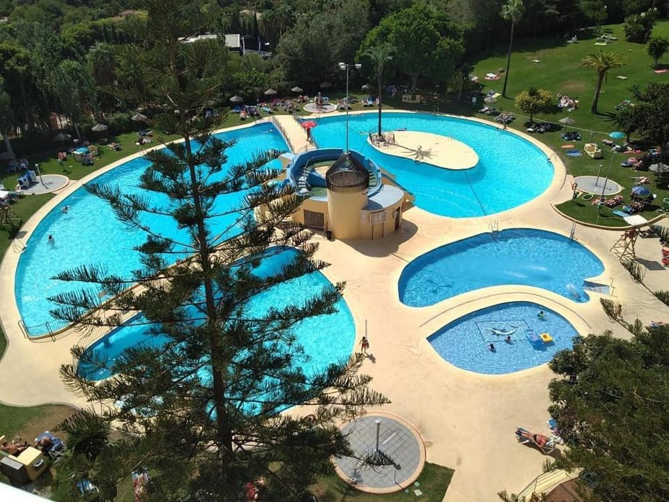 Garden, Garden view, Pool view, Swimming pool