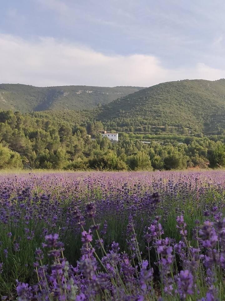Eco Maset, alojamiento rural rodeado de naturaleza House in Costa Blanca
