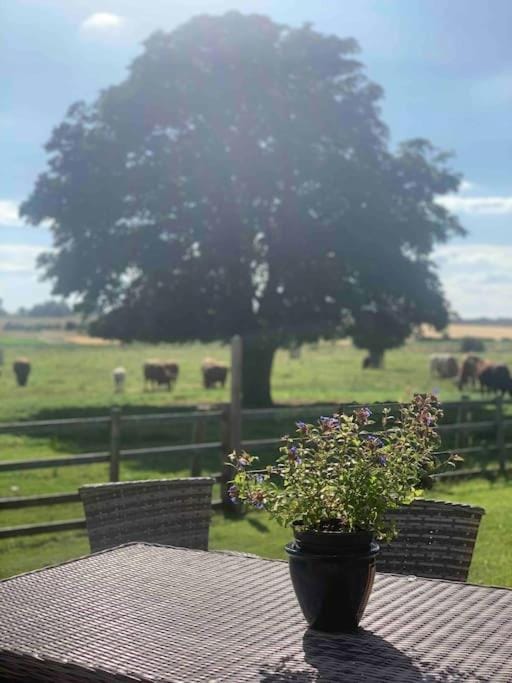 Bainvalley Cottages, Beautiful North Cottage Apartment in West Lindsey District