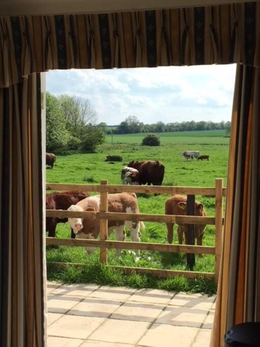 Bainvalley Cottages - The Shamba, sleeps 4 Apartment in West Lindsey District