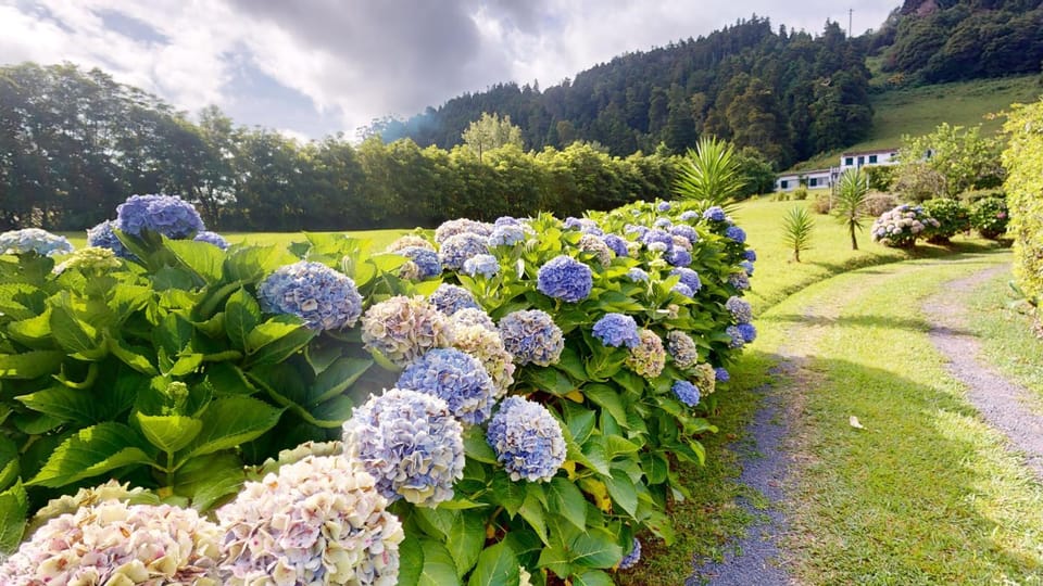 Spring, Day, Natural landscape, Garden, Garden view